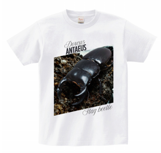 クワガタアパレル